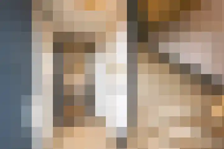 Hooimate 26 Brummen thumbnail 12