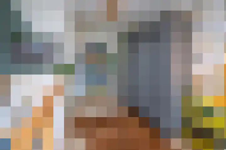 Hooimate 26 Brummen thumbnail 15