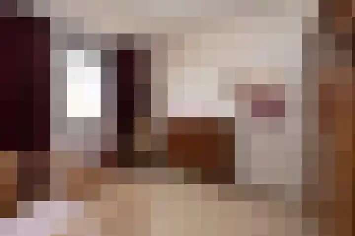 Hooimate 26 Brummen thumbnail 16