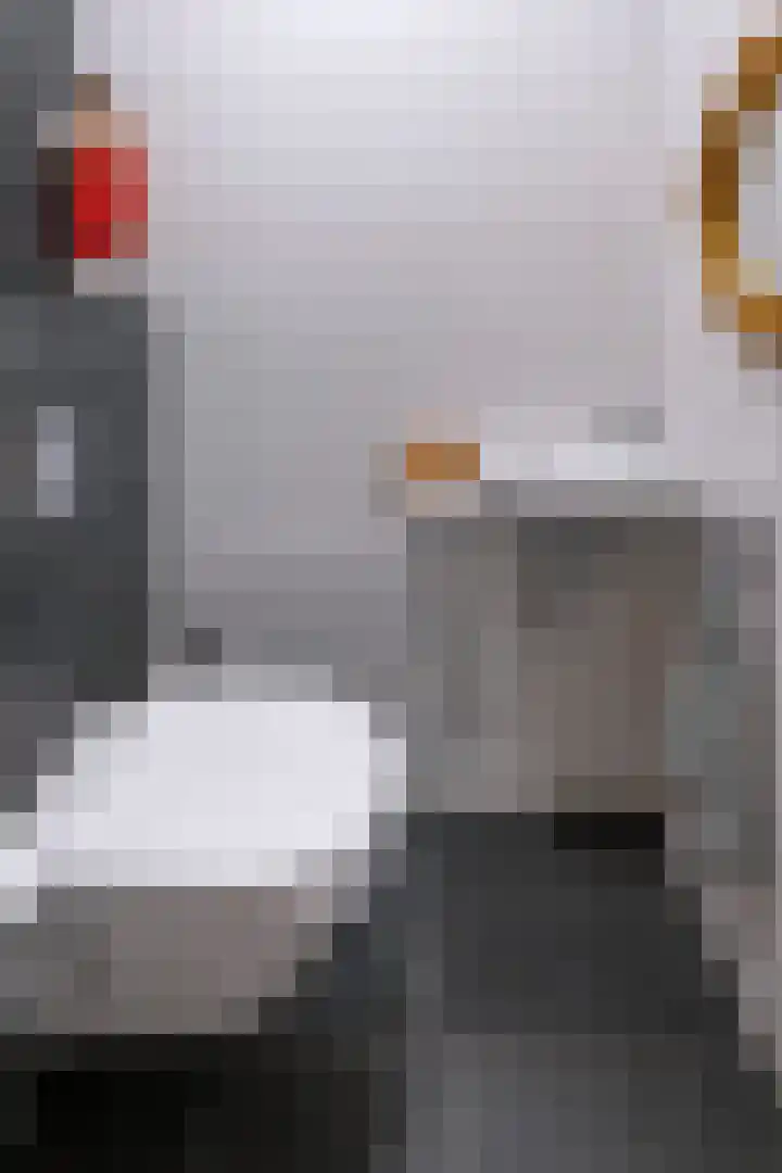Hooimate 26 Brummen thumbnail 18