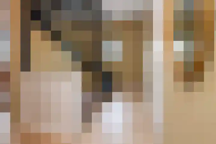 Hooimate 26 Brummen thumbnail 19