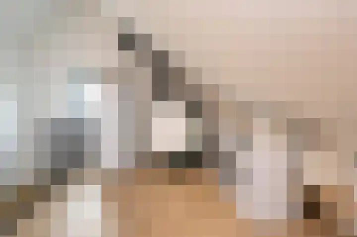 Hooimate 26 Brummen thumbnail 24
