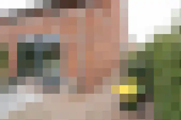 Hooimate 26 Brummen thumbnail 27