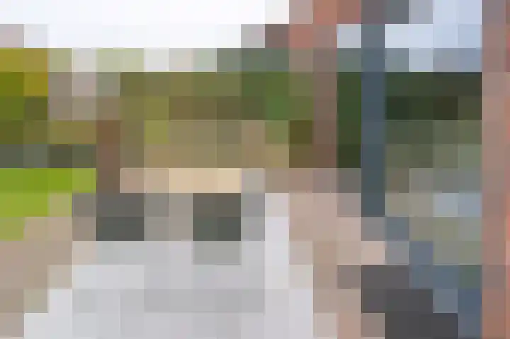 Hooimate 26 Brummen thumbnail 29