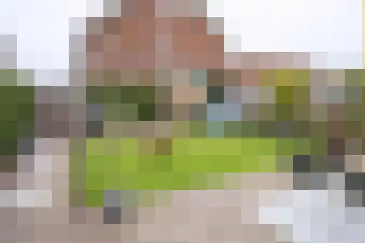 Hooimate 26 Brummen thumbnail 30