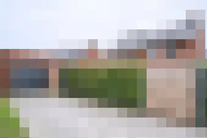 Hooimate 26 Brummen thumbnail 32