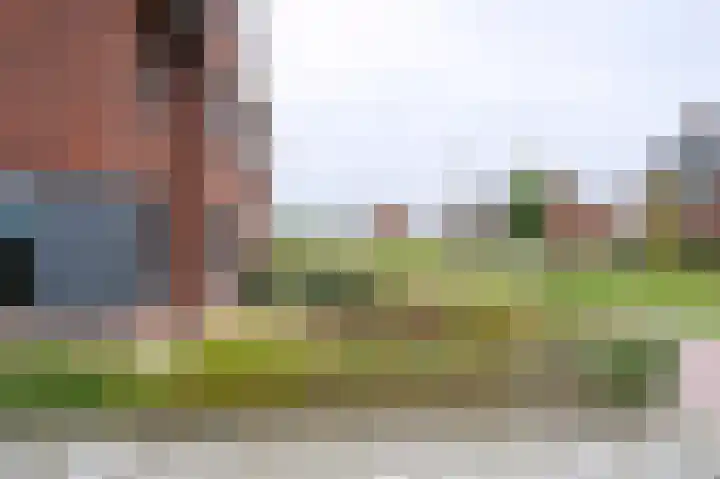 Hooimate 26 Brummen thumbnail 35
