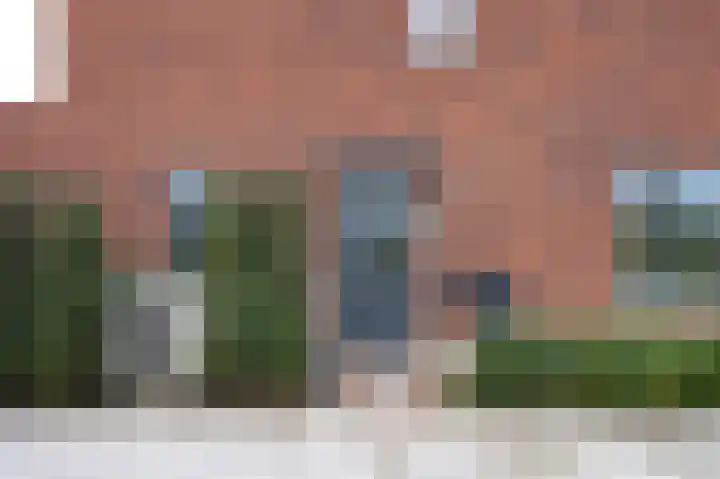 Hooimate 26 Brummen thumbnail 36