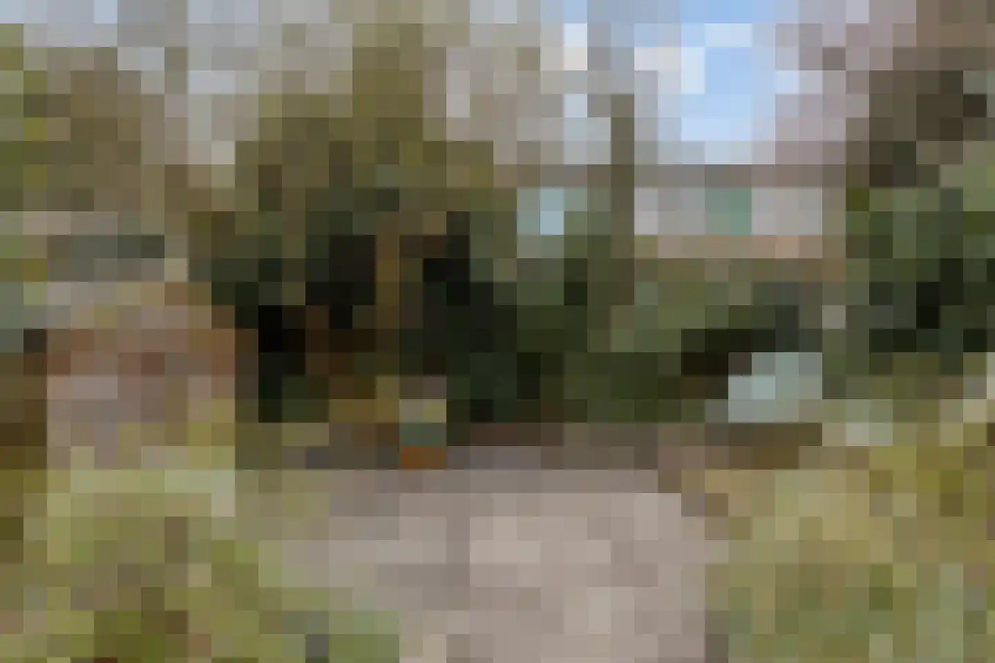 Hooimate 26 Brummen thumbnail 39