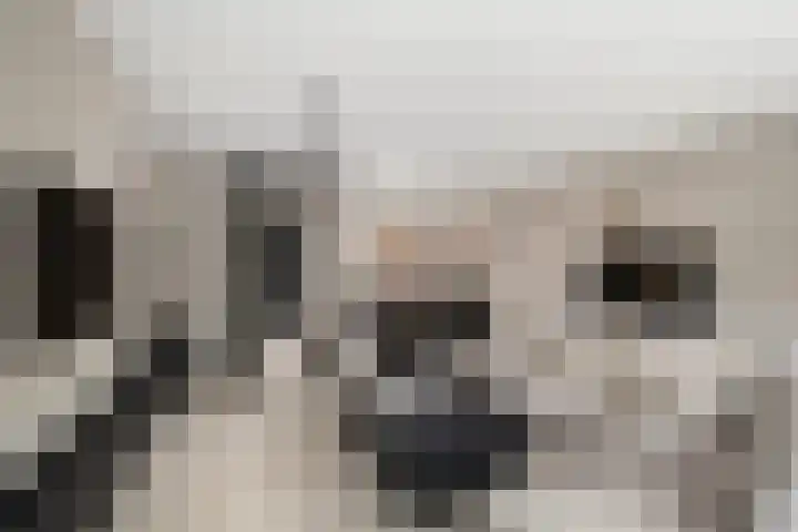 Hooimeijerlaan 11 Barendrecht thumbnail 12