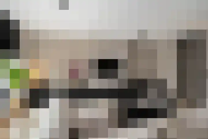 Hooimeijerlaan 11 Barendrecht thumbnail 13