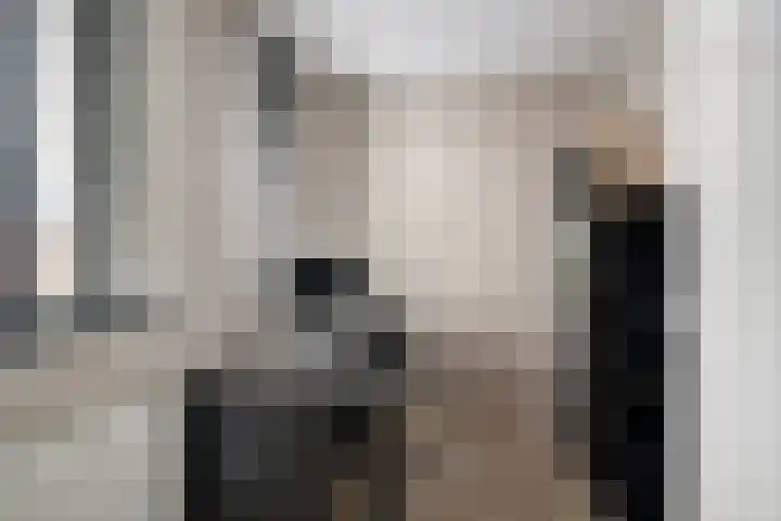 Hooimeijerlaan 11 Barendrecht thumbnail 29