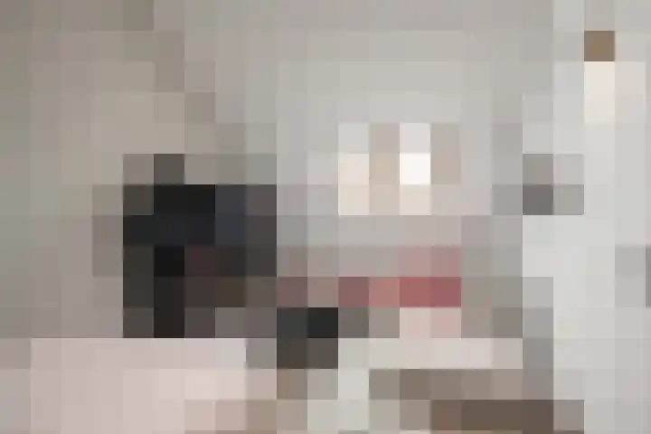 Hooimeijerlaan 11 Barendrecht thumbnail 32