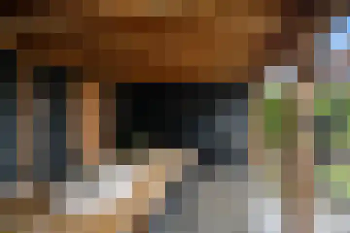 Hooimeijerlaan 11 Barendrecht thumbnail 35