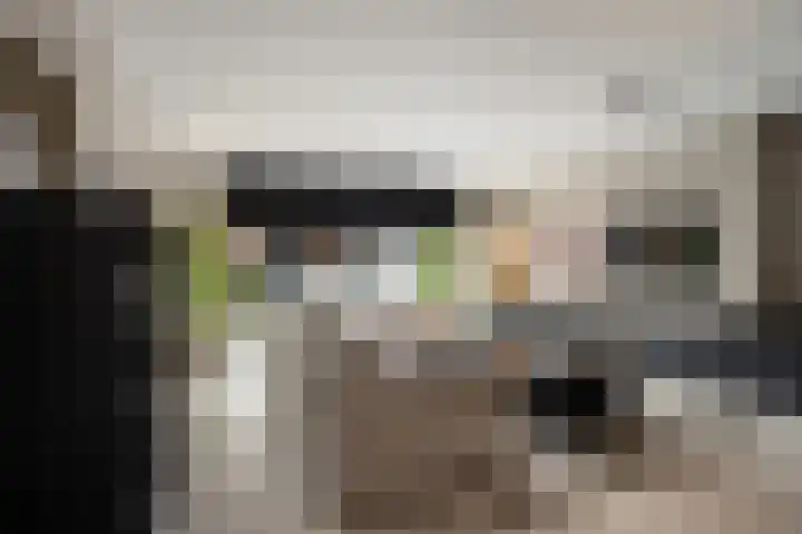 Hooimeijerlaan 11 Barendrecht thumbnail 9