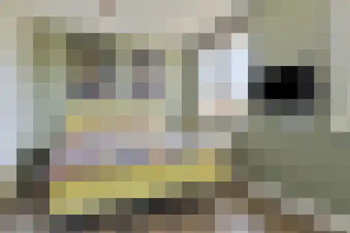 Hooimeijerlaan 5 Barendrecht thumbnail 17