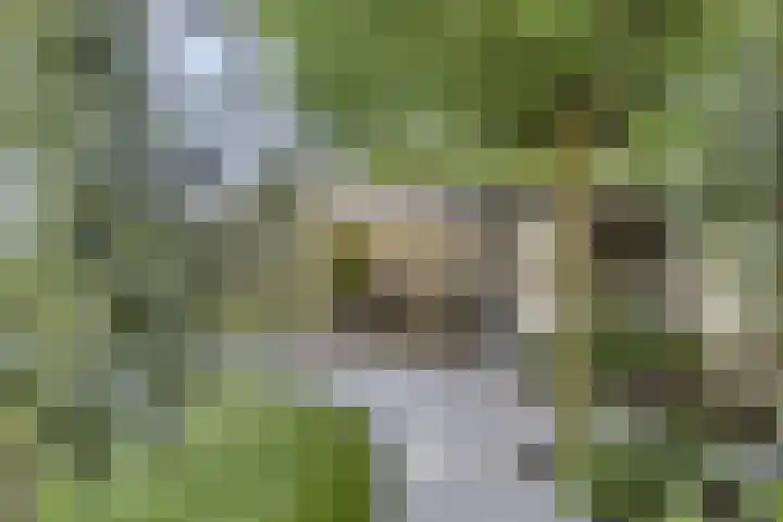 Hooimeijerlaan 5 Barendrecht thumbnail 30