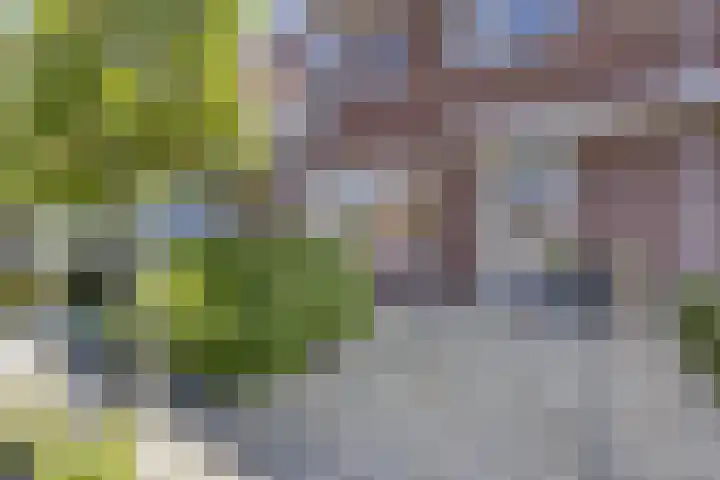 Hooimeijerlaan 5 Barendrecht thumbnail 7