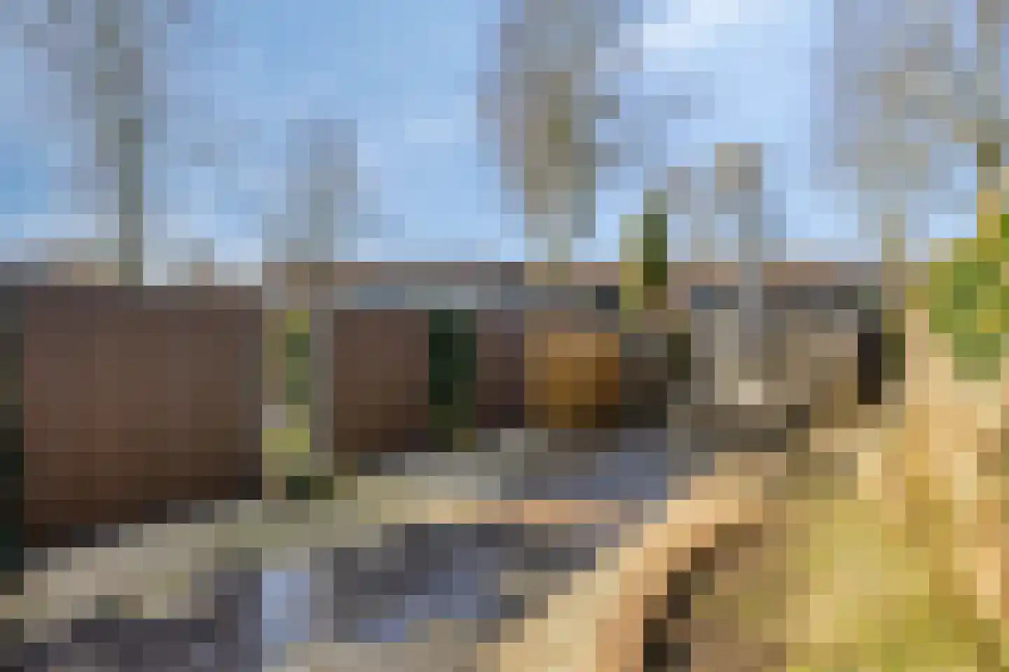 Hooimijt 26 Zaltbommel thumbnail 26