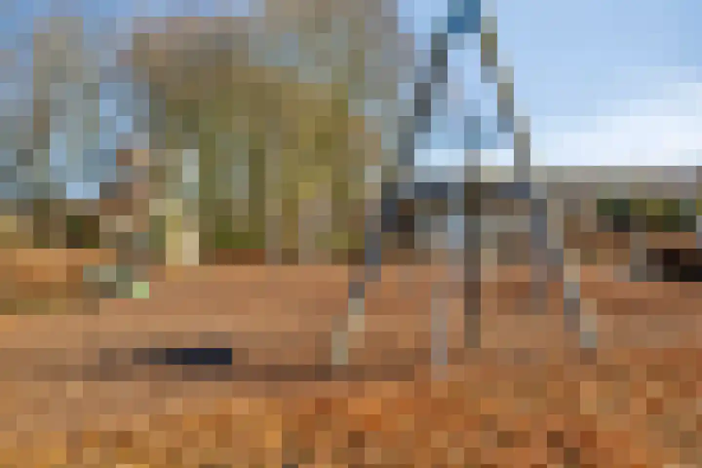 Hooimijt 26 Zaltbommel thumbnail 31