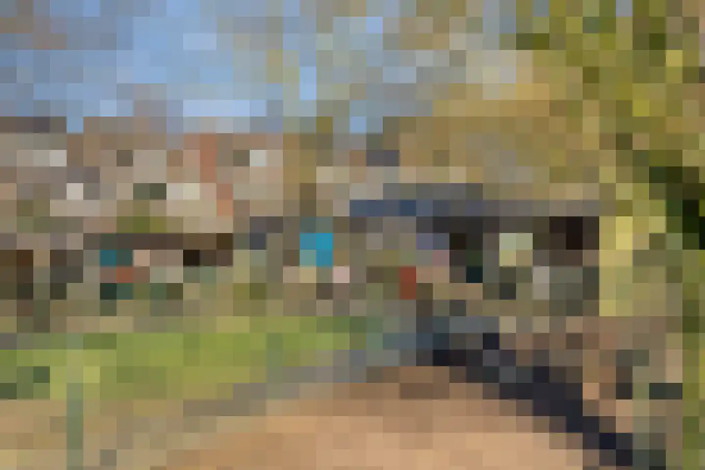 Hooimijt 26 Zaltbommel thumbnail 32