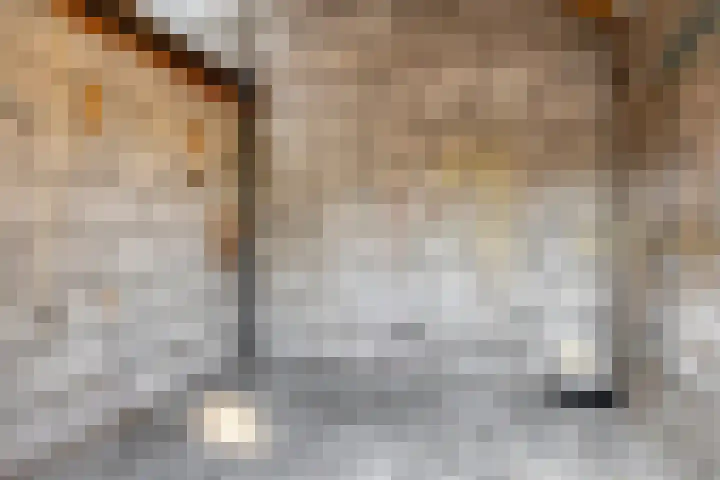 Hooimijt 7 Zaltbommel thumbnail 12