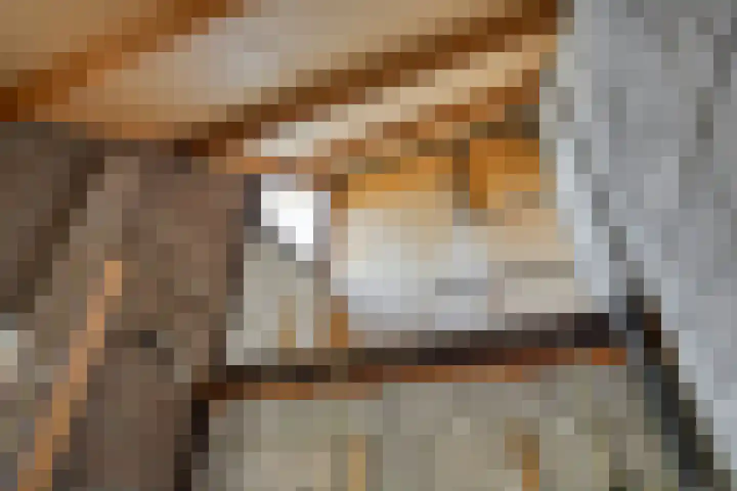 Hooimijt 7 Zaltbommel thumbnail 13