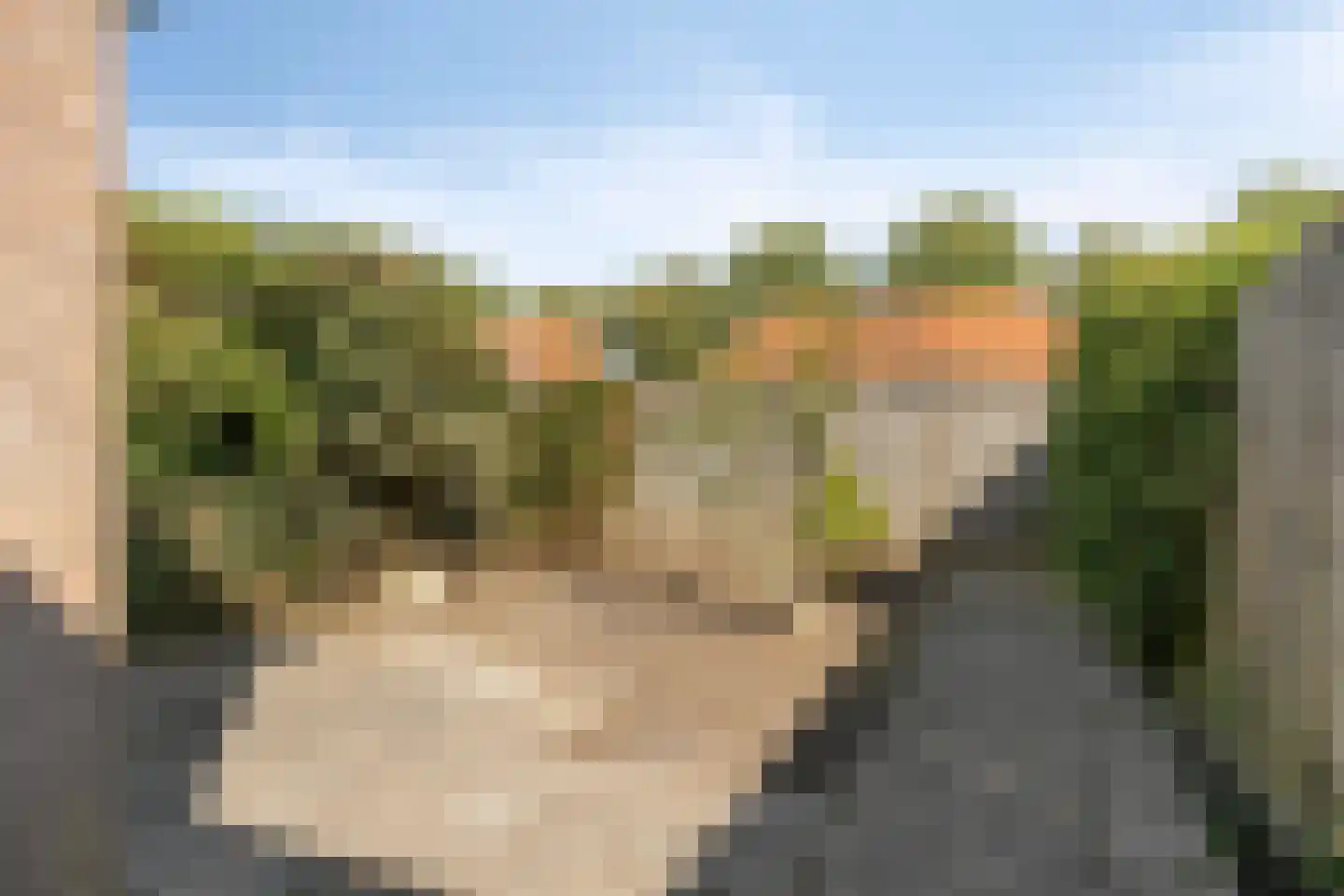 Hooimijt 7 Zaltbommel thumbnail 15