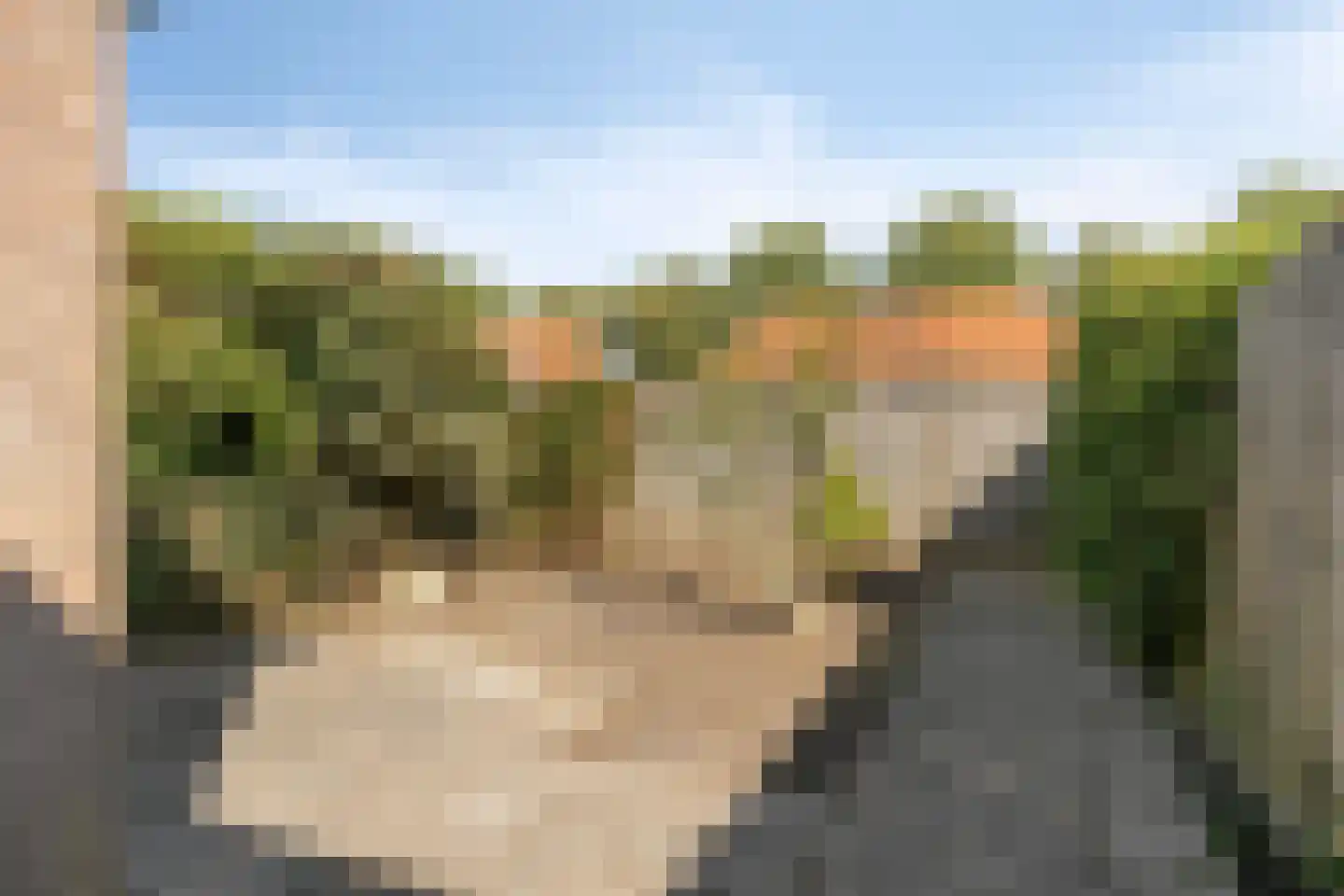 Hooimijt 7 Zaltbommel thumbnail 22