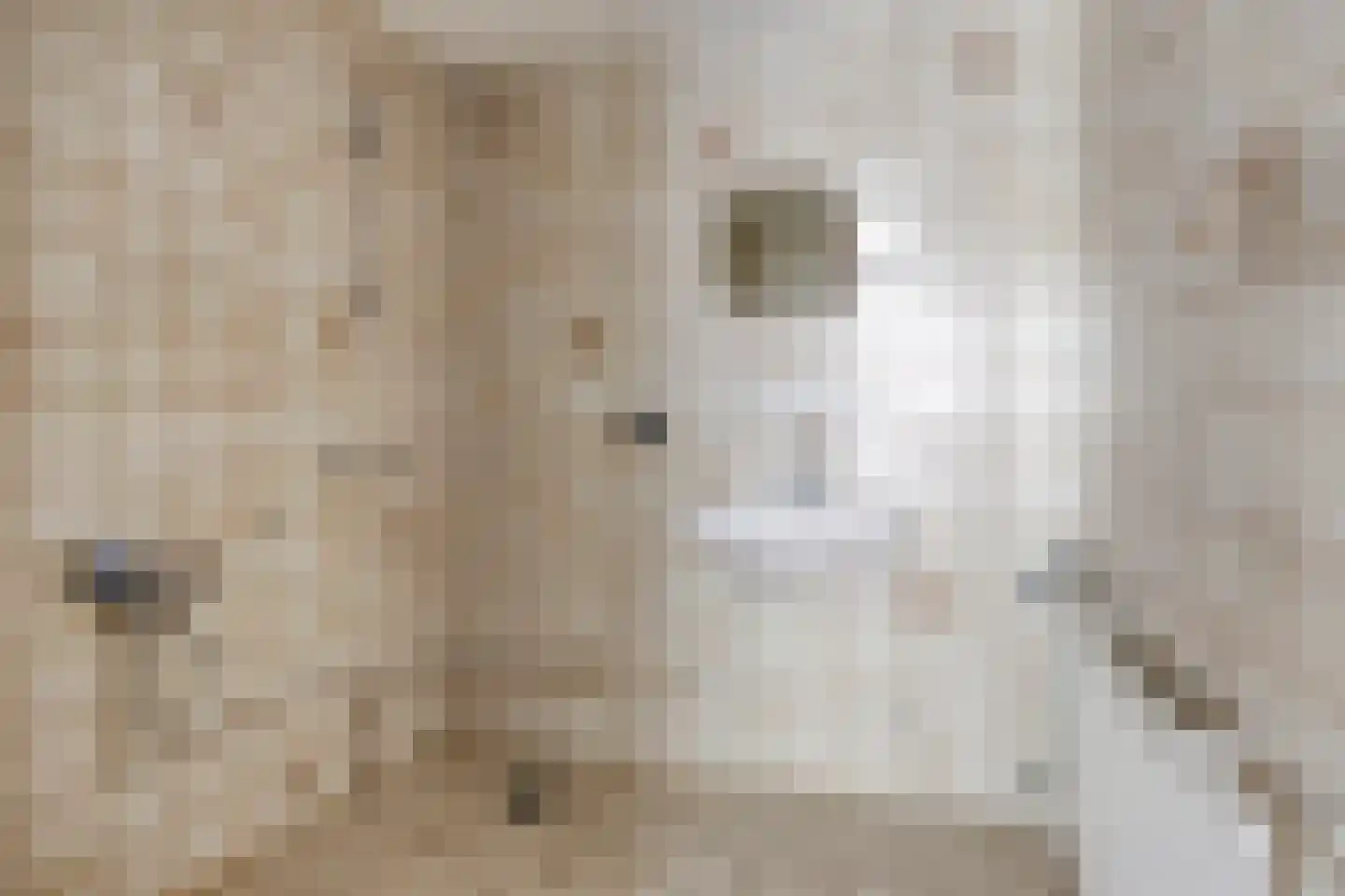 Hooimijt 7 Zaltbommel thumbnail 29