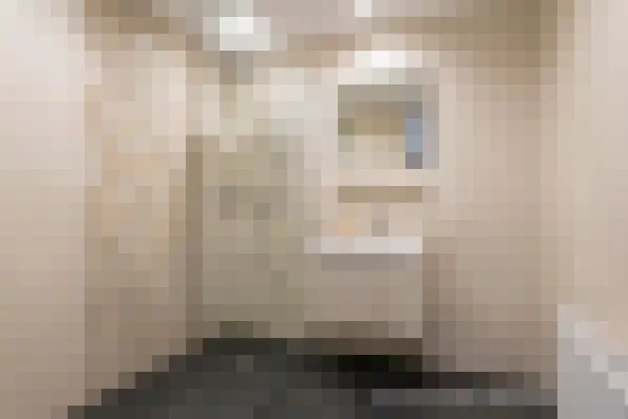 Hooimijt 7 Zaltbommel thumbnail 30