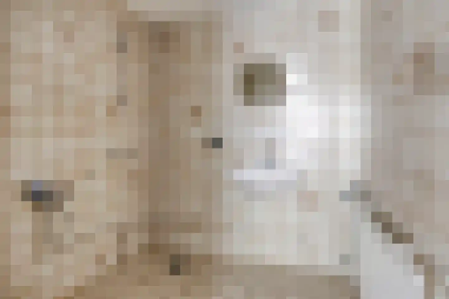 Hooimijt 7 Zaltbommel thumbnail 36