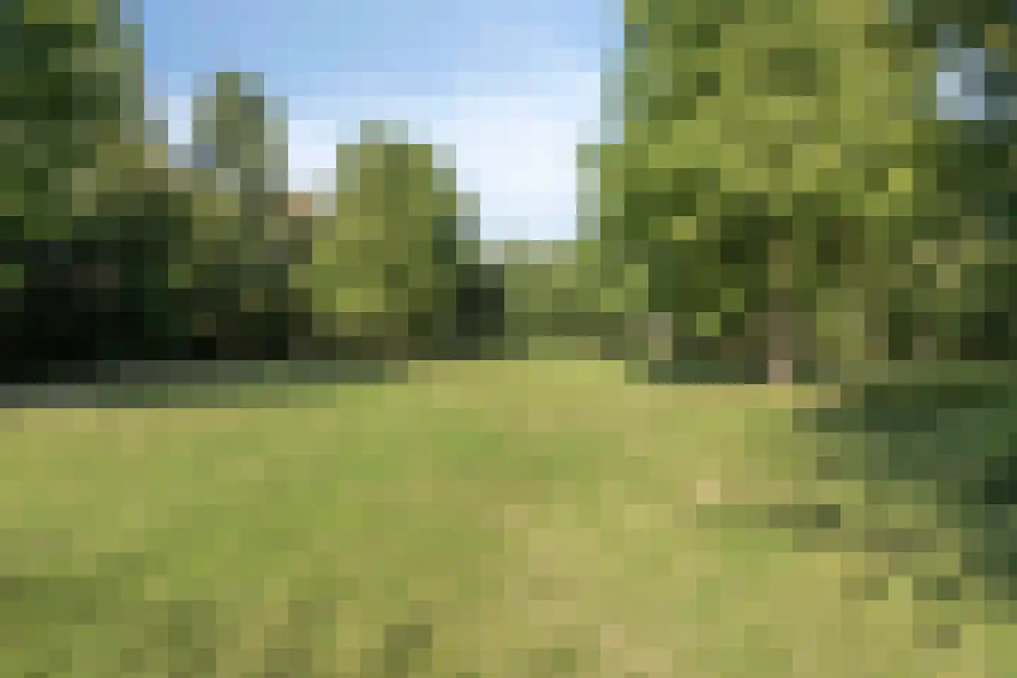 Hooimijt 7 Zaltbommel thumbnail 43