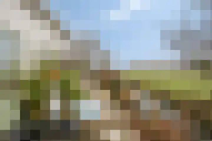 Hooipolder 20 's-Hertogenbosch thumbnail 22