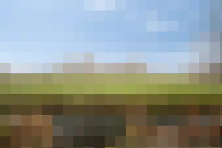 Hooipolder 20 's-Hertogenbosch thumbnail 23