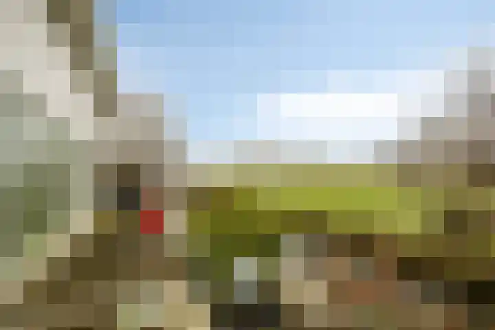 Hooipolder 20 's-Hertogenbosch thumbnail 4