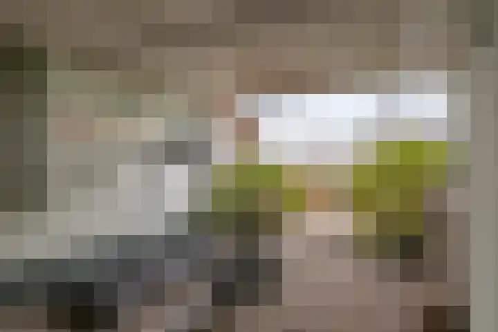 Hooipolder 20 's-Hertogenbosch thumbnail 45