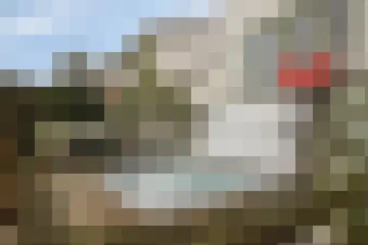 Hooipolder 20 's-Hertogenbosch thumbnail 48