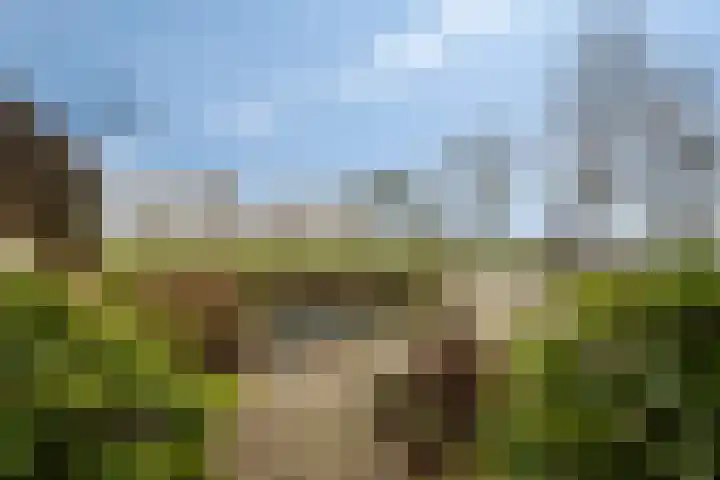Hooipolder 20 's-Hertogenbosch thumbnail 49
