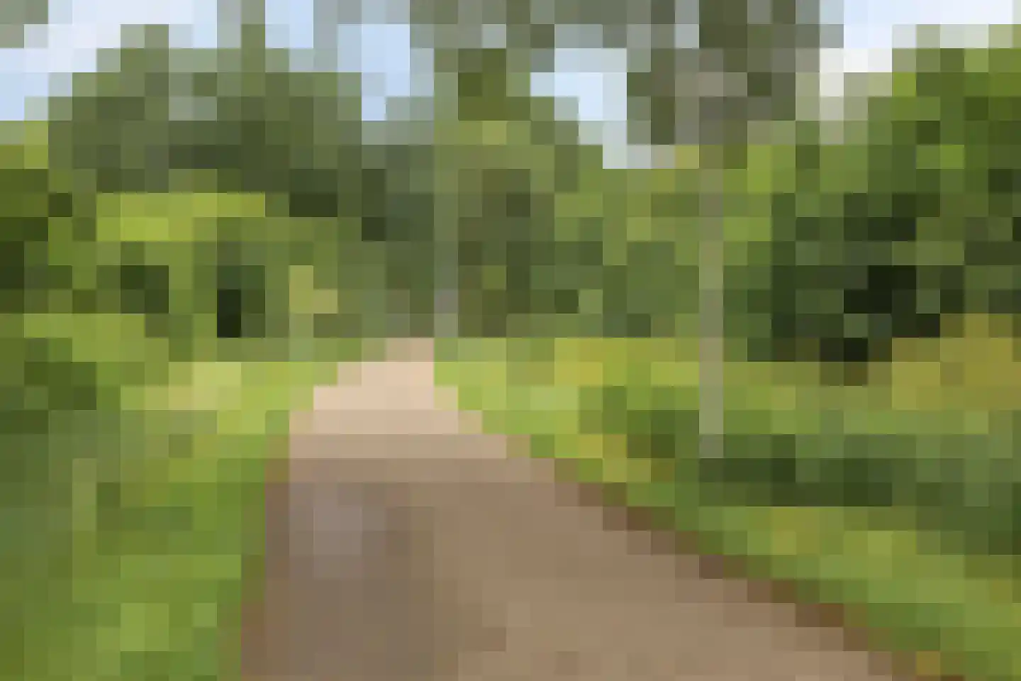 Hooiraamhoek 93 Enschede thumbnail 44