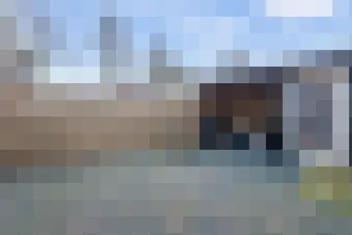 Hooiraamhoek 97 Enschede thumbnail 23