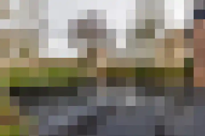 Hooiraamhoek 97 Enschede thumbnail 28