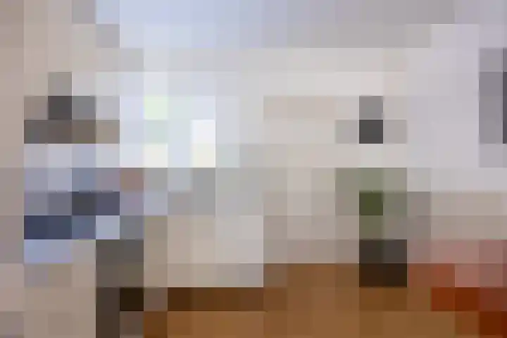 Hooischelf 21 Malden thumbnail 10