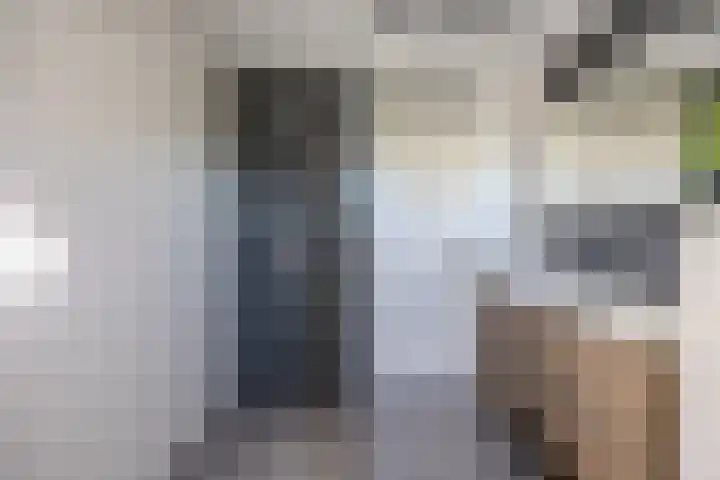 Hooischelf 21 Malden thumbnail 22