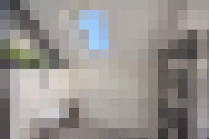 Hooischelf 21 Malden thumbnail 23