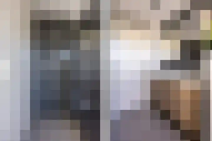 Hooischelf 21 Malden thumbnail 24
