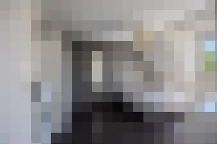 Hooischelf 21 Malden thumbnail 25