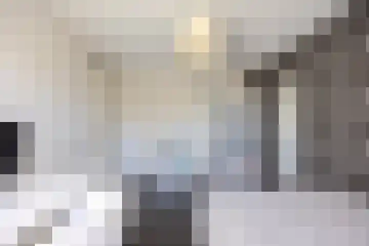 Hooischelf 21 Malden thumbnail 27