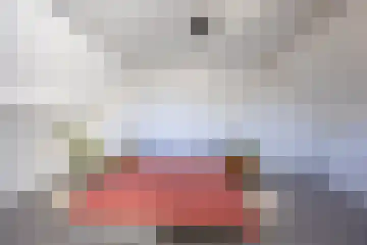 Hooischelf 21 Malden thumbnail 30