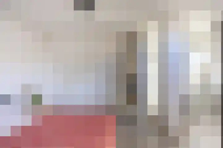 Hooischelf 21 Malden thumbnail 31